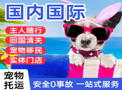 邯郸航空托运国际宠物托运 【国